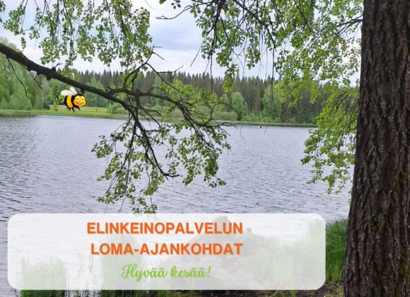 Elinkeinopalvelut lomalla seuraavasti