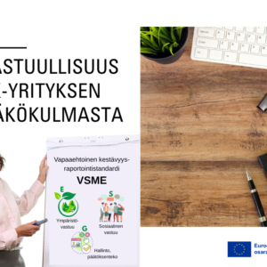 VSME Artikkelikuva 1024 x 768 VSME-standardi pk-yrityksille – vastuullisuusraportointi ESG-teemoilla