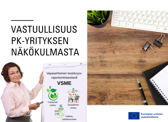 VSME-standardi pk-yrityksille – vastuullisuusraportointi ESG-teemoilla